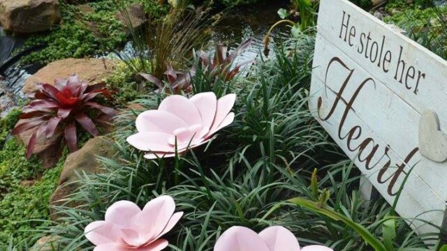 Bluff Eco Park